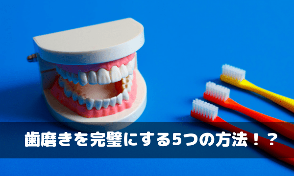 ジャカルタで歯医者に行きたくない 歯磨きをより完璧にする5つの方法 ドネシアどーね